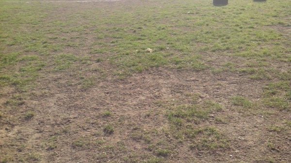 Nema fudbala na njivi u Bivolju, Omladinska liga Srbije