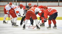 Vojvodina poklekla u finišu duela sa Medveščakom, IHL liga