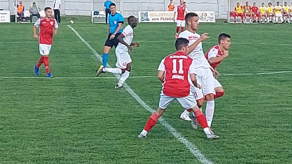 Leskovčani osvojili bod u Dobanovcima, Prva liga Srbije