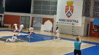 Odlukom FSS-a aleksinački futsaleri ne igraju četvrtfinale Kupa Srbije, Prva Futsal liga
