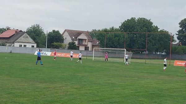 Miroljubivo u Dobanovcima, Prva liga Srbije