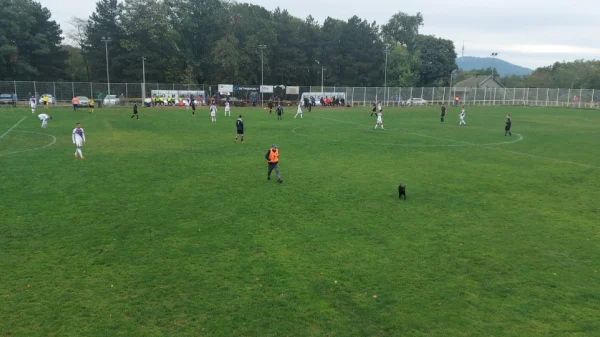Torlak nastavio pobedonosnu seriju, Beogradska zona