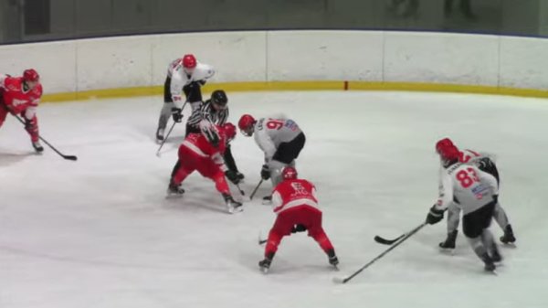 Tesna ali zaslužena pobeda Zvezde nad Jesenicama, IHL liga - grupa A