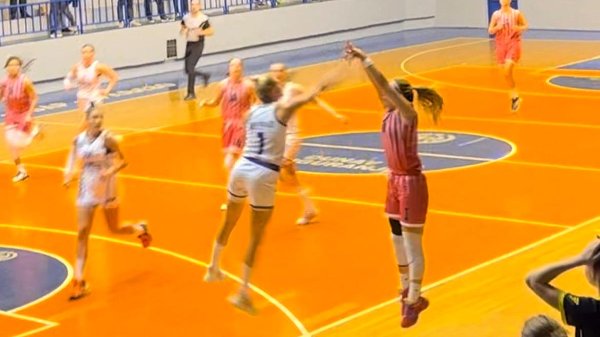 Šampionke bućnule u Ibar, Prva ženska liga Srbije