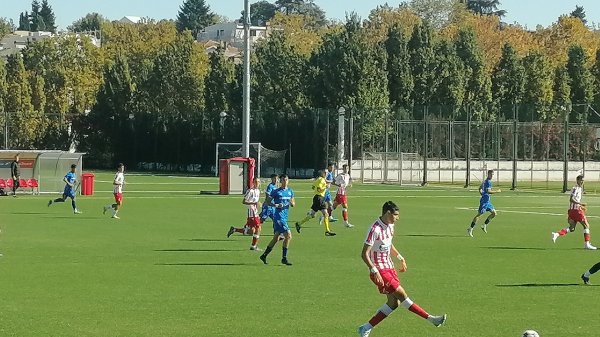 Zvedini omladinci "polupali lončiće", Omladinska liga Srbije