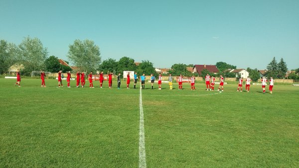 Kraj Tise revija golova, PFL Zrenjanin