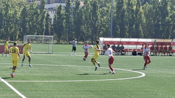 Crveno-bela omladinska ekspedicija krenula po novu krunu, Omladinska liga Srbije